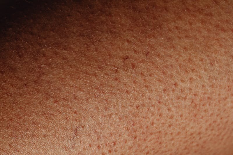 body-proportions-visualization